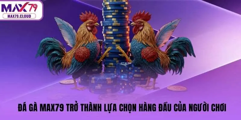 Đá gà MAX79 trở thành lựa chọn hàng đầu của người chơi