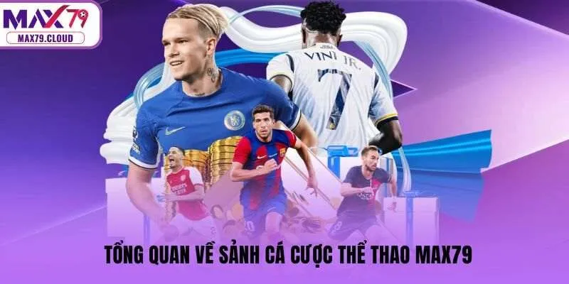 Tổng quan về sảnh cá cược thể thao MAX79